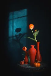 Stimmungsvolles Tulpenstillleben