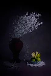 Stimmungsvolle Vase mit Limetten