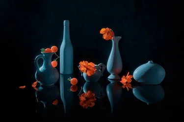 Orangefarbene Blumen, blaue Vasen