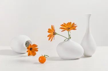 Modernes Stillleben mit orangefarbenen Blumen