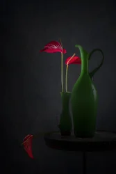 Rote Anthurien und grüne Vasen