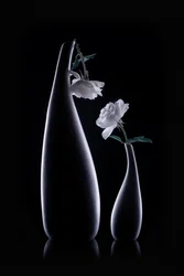 Schattenvasen mit weißen Rosen