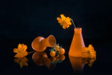Leuchtend orangefarbenes Stillleben