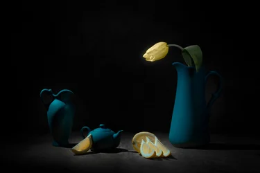 Gelbe Tulpe blaues Stillleben