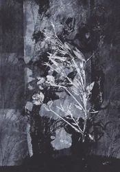 Schwarze Natur