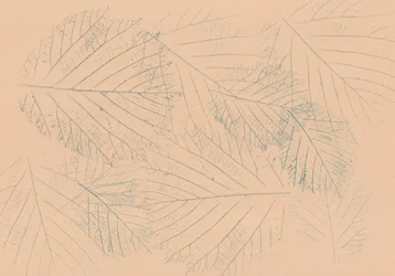 Botanisches Blattmuster