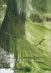 Organischer Grüner Fluss