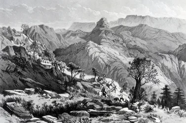 Auf dem Marsch bei Dongolo, graviert von James Ferguson, 1868