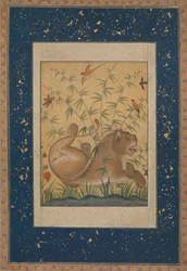 Ruhender Löwe