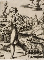 Zeichen des Widders
