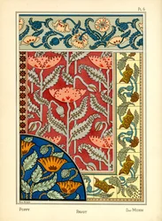 Die Mohnblume