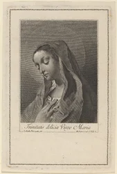 Trinitatis delicia Virgo Maria