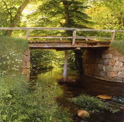 Ein Waldstrom mit einer Holzbrücke