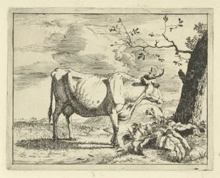 Stehende Kuh bei einem Baum