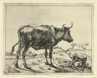 Stier stehend bei Baumstumpf