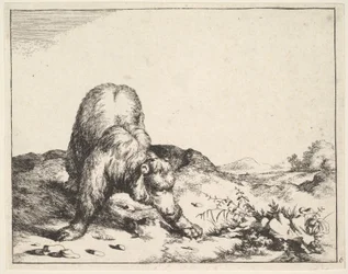 aus dem Set der Bären, ca. 1664