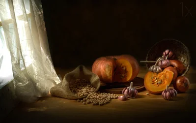 Herbstliche Küchenernte