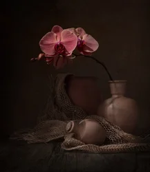 Dunkles Orchideen-Stillleben