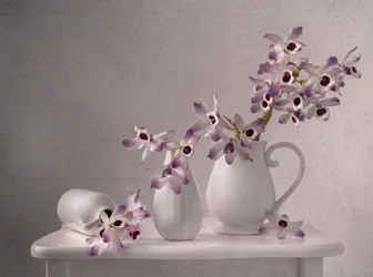 Zartes Orchideen Stillleben