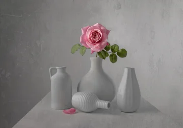 Zarte Rosa Rose Stillleben