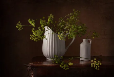 Dillblüten Stillleben