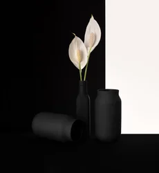 Eleganter Blumen Kontrast