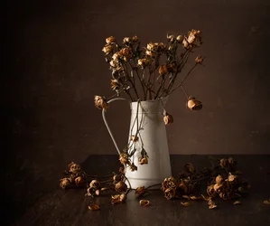 Stimmungsvolle Getrocknete Rosen Stillleben