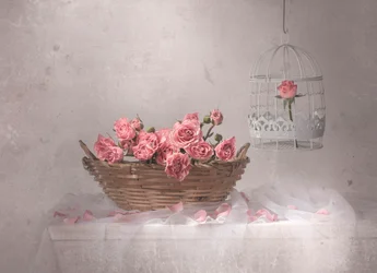 Rosa Rosen und Vogelkäfig