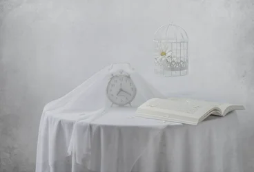 Gelassene Uhr Buch Vogelkäfig