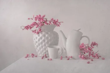 Sanftes Rosa Stillleben