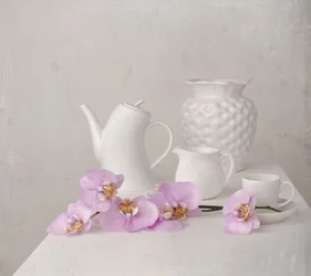 Weißes Orchideen-Stillleben