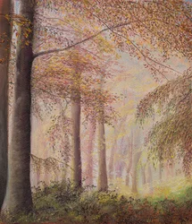 Neblige Wälder
