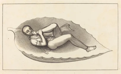 Vishnu, Schöpfer von Brahma, Symbol der Ewigkeit