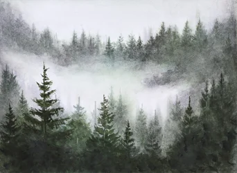 Stille im nebligen Wald