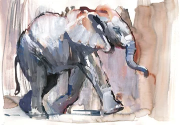 Babyelefant, 2012