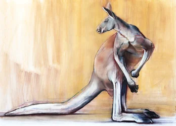 Großer Roter (Känguru), 2014