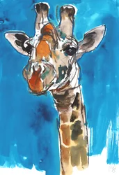 Blauer Himmel Giraffe, 2018