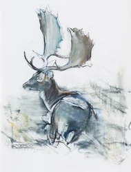 Bock im Gras, 2006