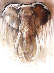 Bullenelefant