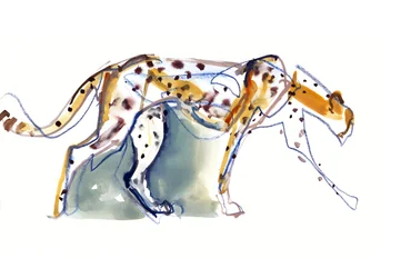 Gepard, 2022