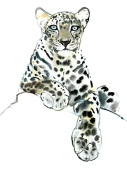 Direkt (Arabischer Leopard), 2015