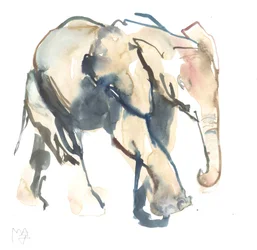 Elefantenkalb, Loisaba, 2017
