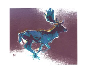 Damhirschbock (blaugelber Schatten), 2015