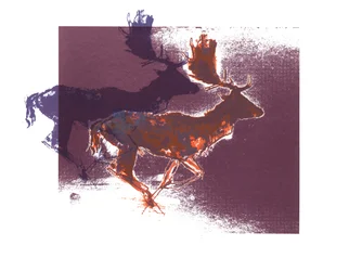 Damwild (orangelila), 2015, (Siebdruck)