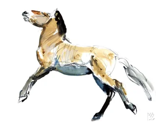 Frei (Przewalski), 2012