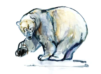 Eisbär, 2013
