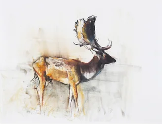 Prächtiger Damhirsch, 2006