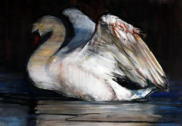 Nachtschwan, 2022