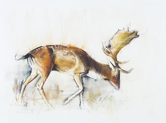 Pisanello Hirsch, 2006