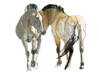 Rencontre (Przewalski), 2013